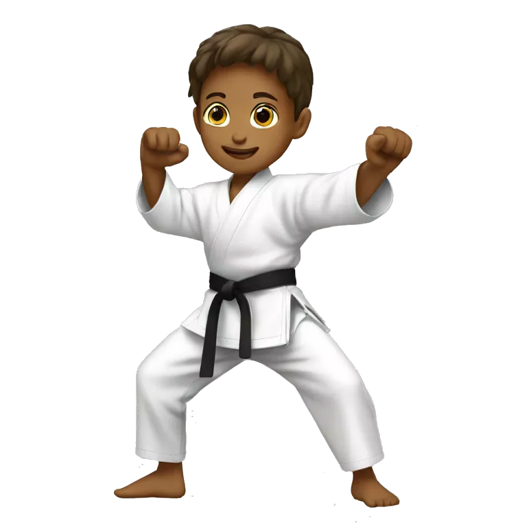 8 year old doing karate