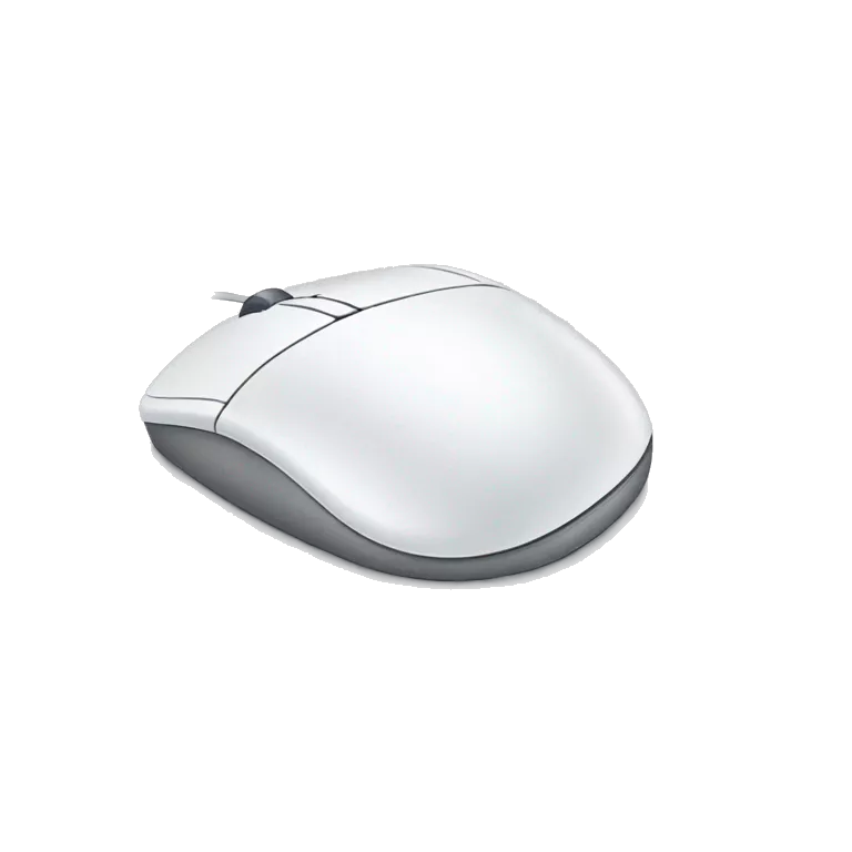 computer mouse