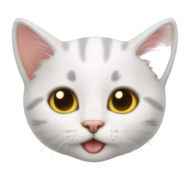 kitten