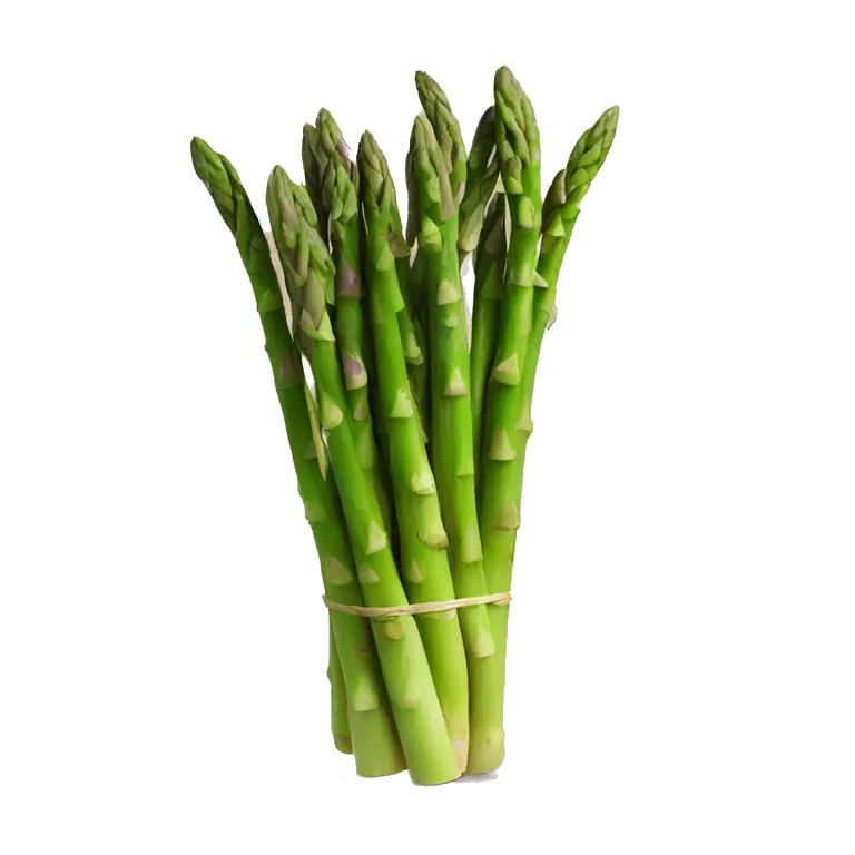Asparagus