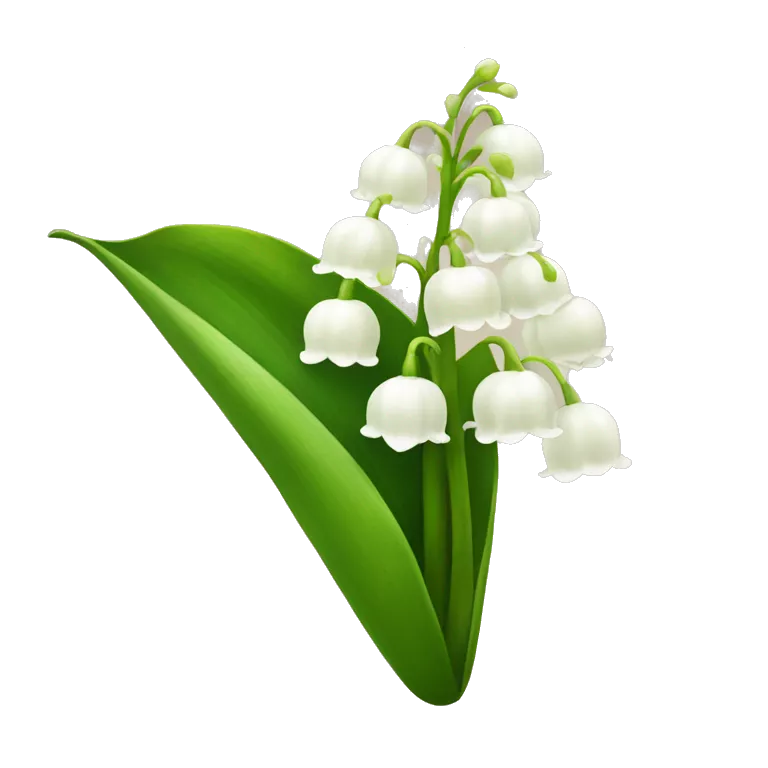 Lily of the valley