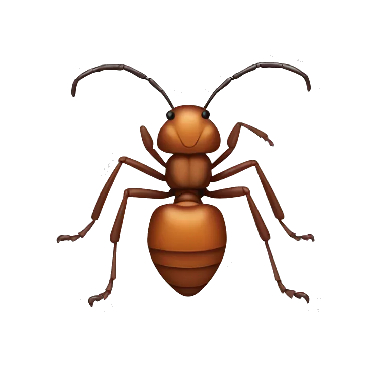 Ant