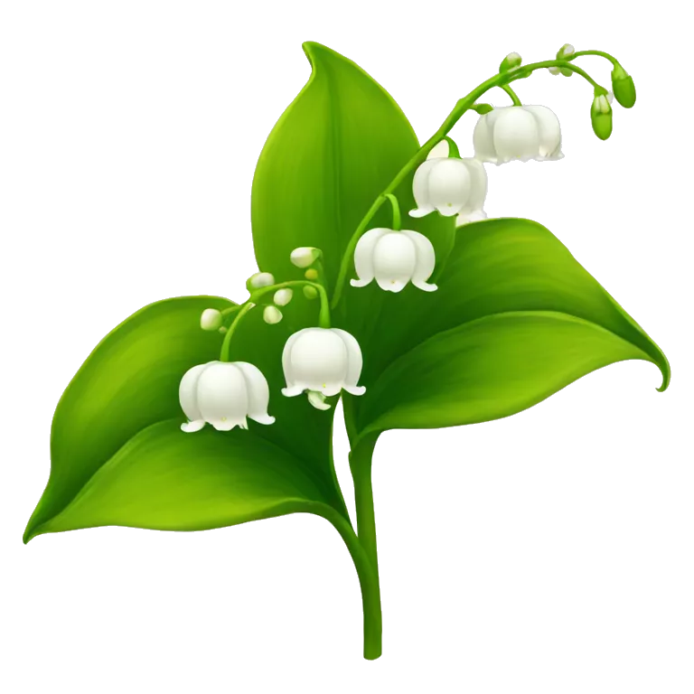 American lily of the valley