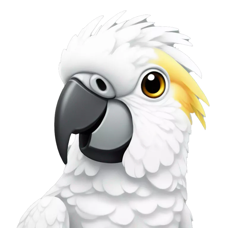 Cockatoo