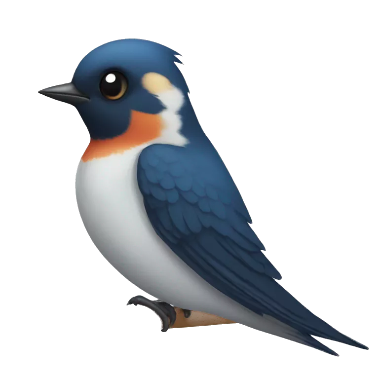swallow bird