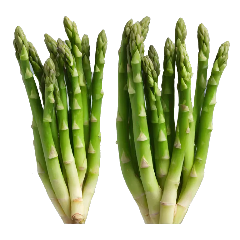 Asparagus
