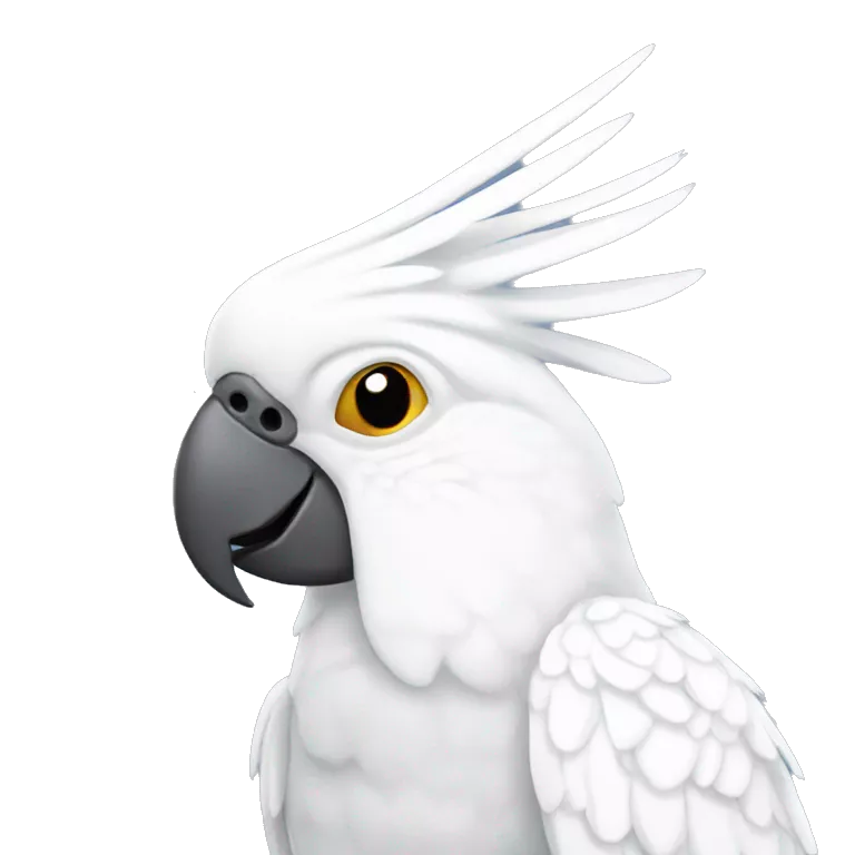 Cockatoo