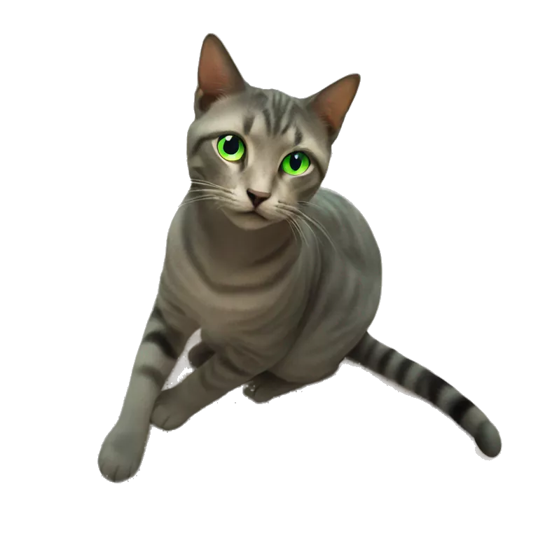 green-eyed cat staring at camera