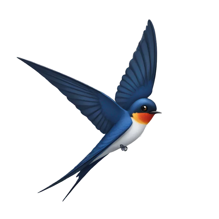swallow bird tail