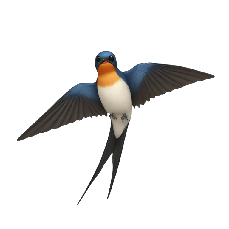 swallow bird tail
