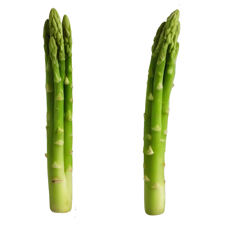 asparagus
