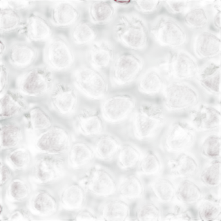 A raspberry