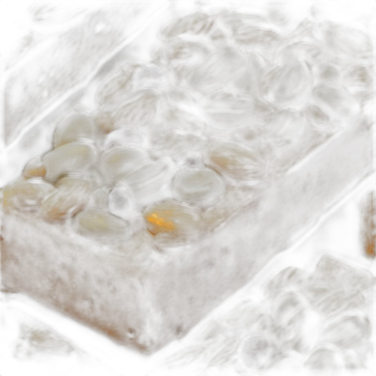 cereal bar with pumpkin seeds, raisins and grains of amaranth