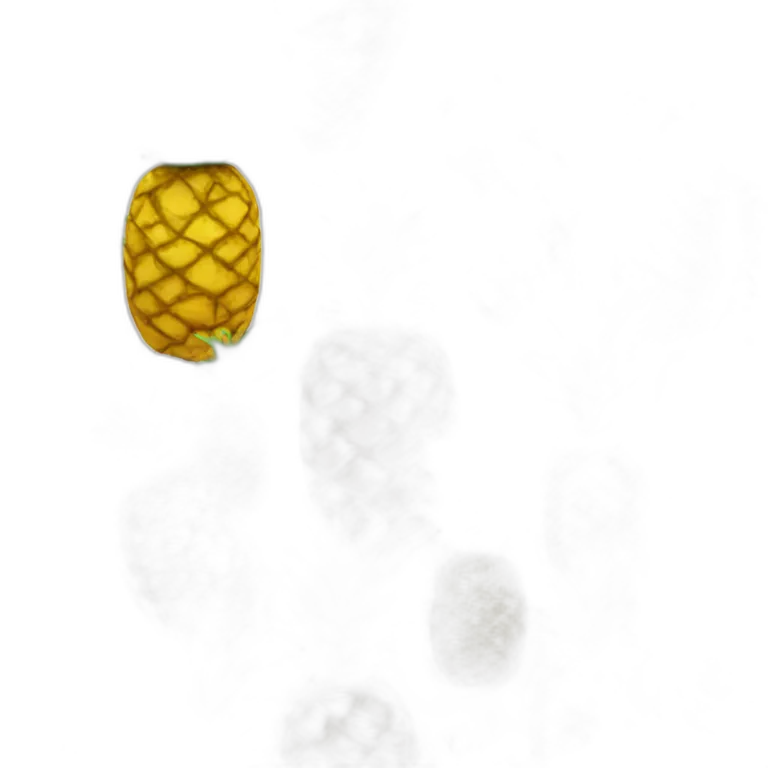 pen pineapple apple pen