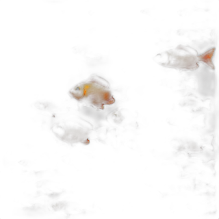 Poisson coucher de soleil rouge