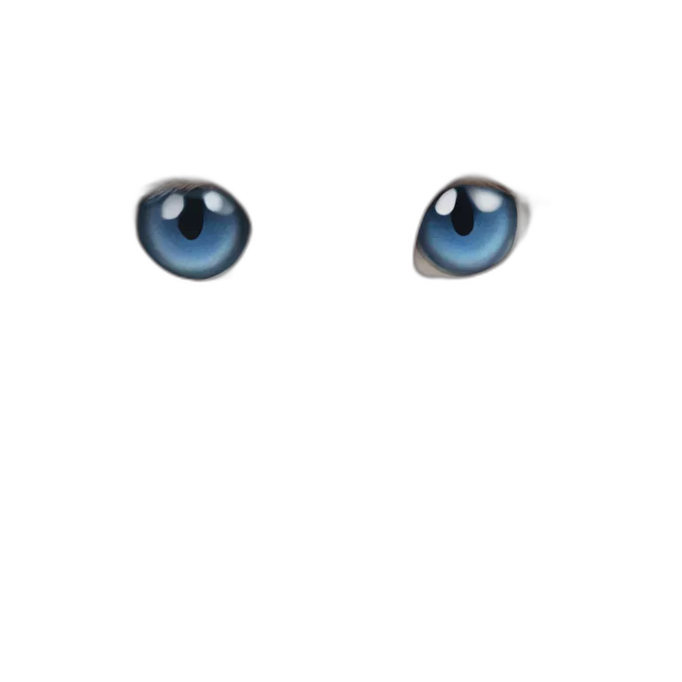 blue-eyed cat staring at viewer