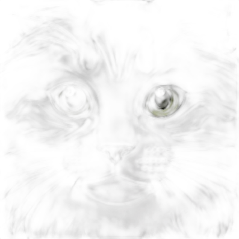 Maine coon cat with grey and White strips and light Green eyes