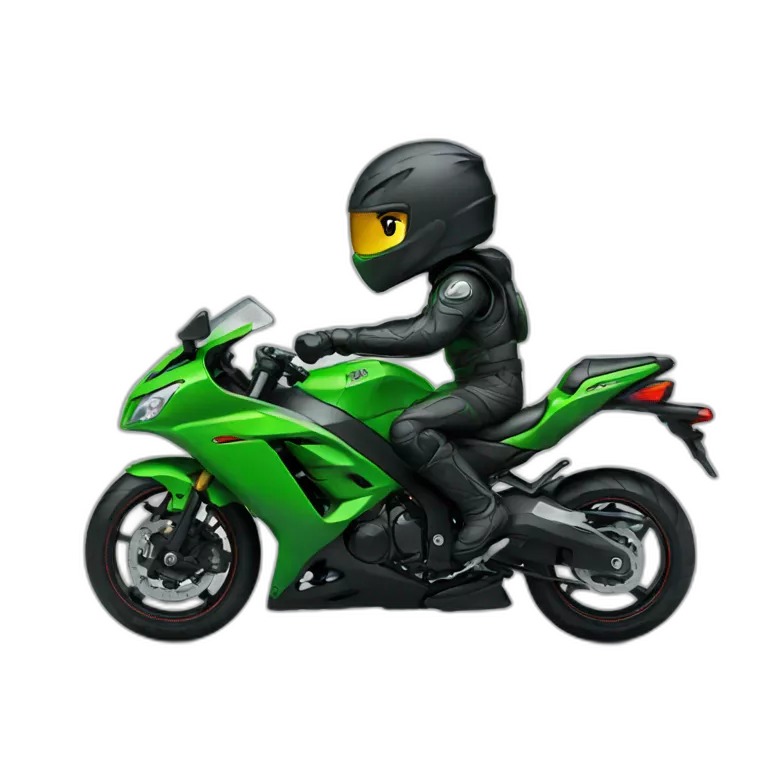 Ninja driving Kawasaki ninja