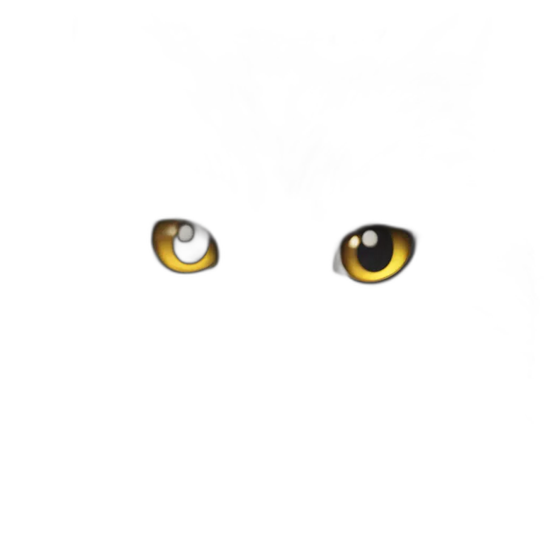 yellow-eyed cat staring intently