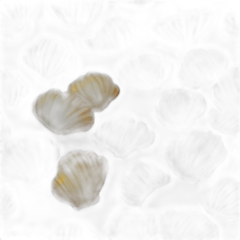 Coquille St Jacque