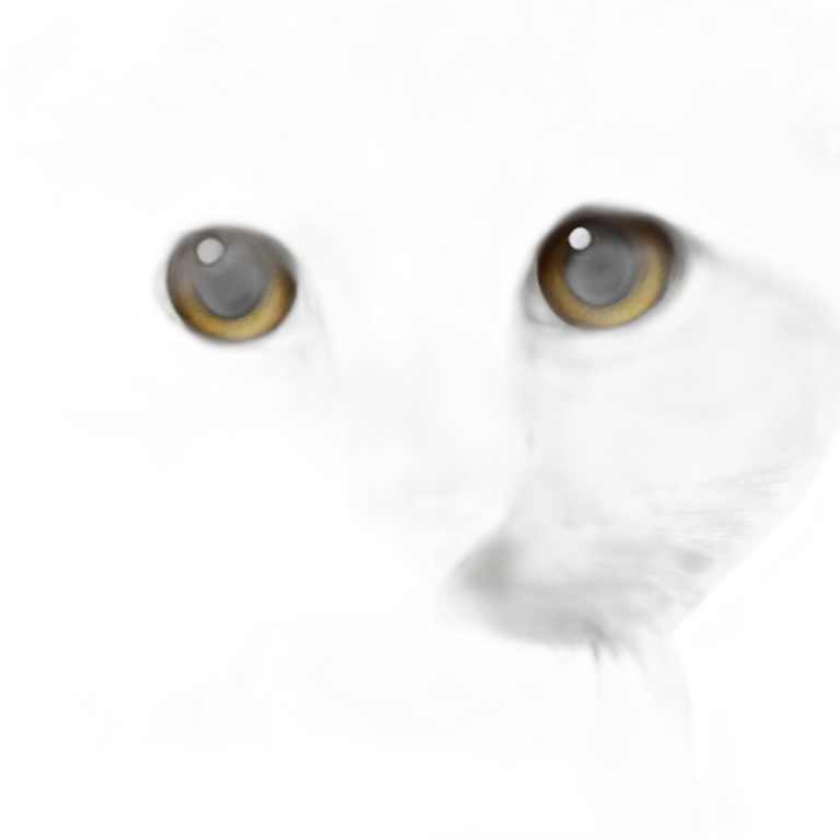 majestic feline stares into camera