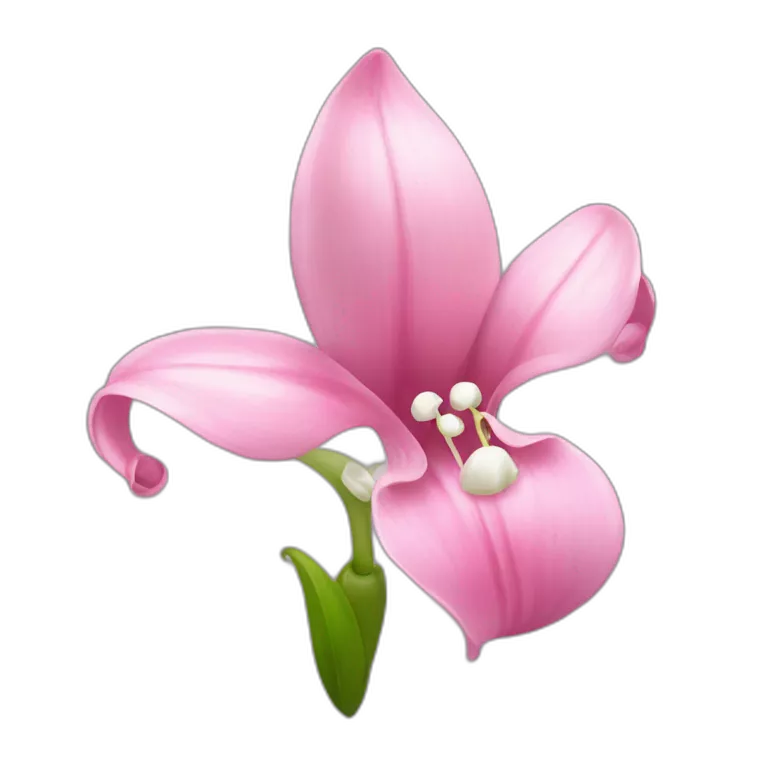pink lily of the valley