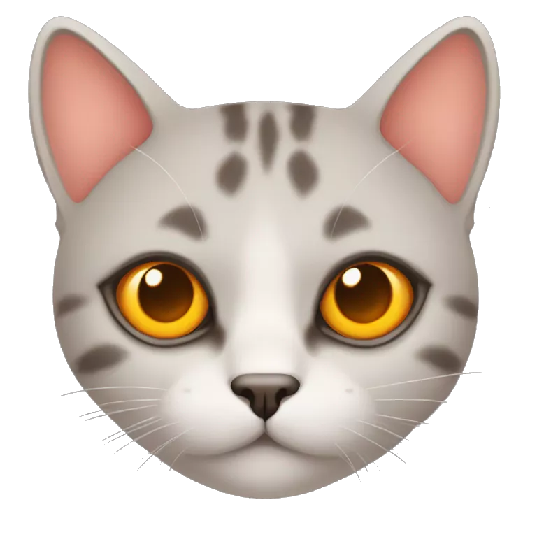 Gato con corazones naranjas en los ojos