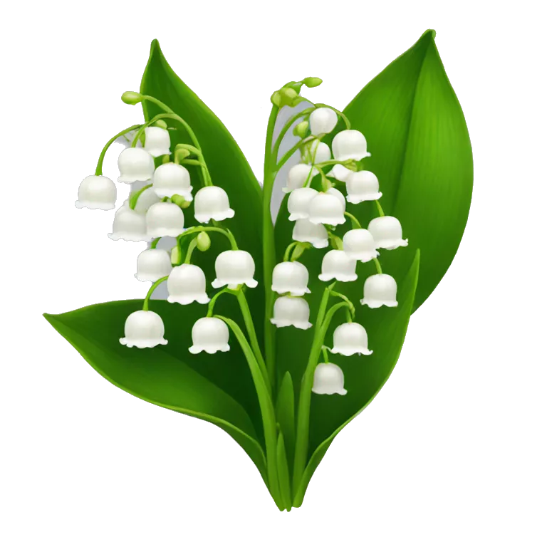 American lily of the valley