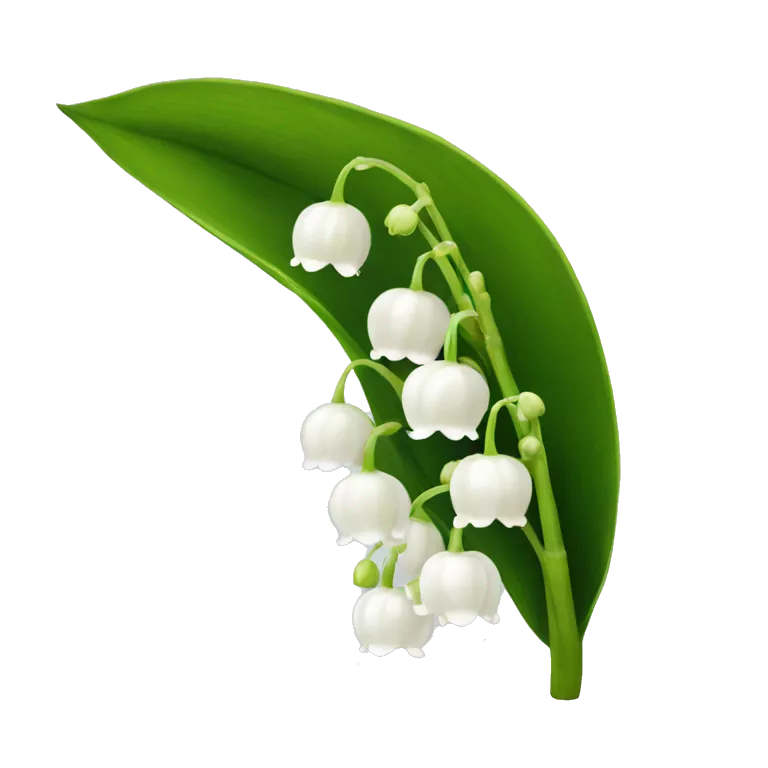 lily of the valley