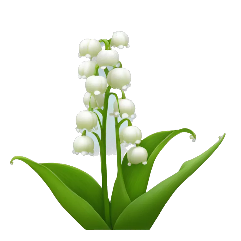 lily of the valley