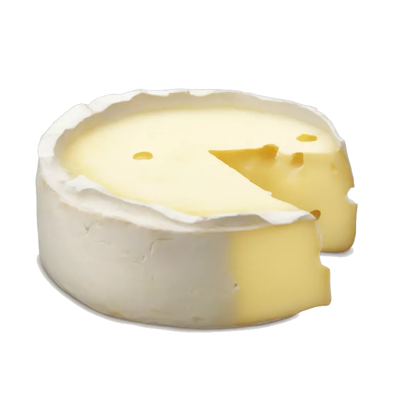 Camembert