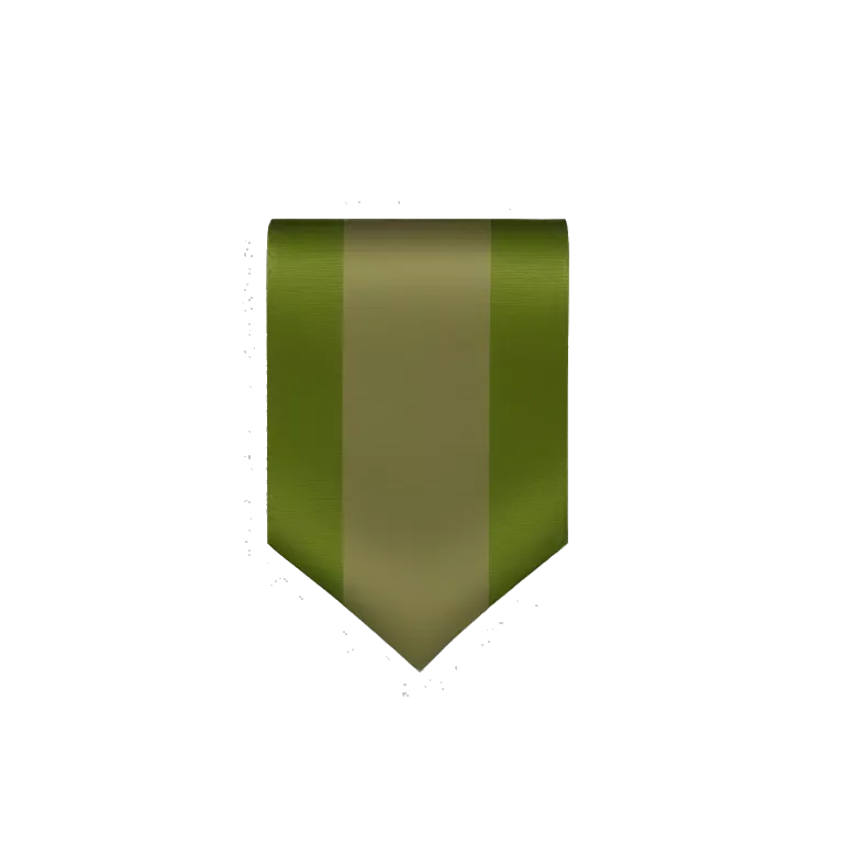 recruitment ribbon military
