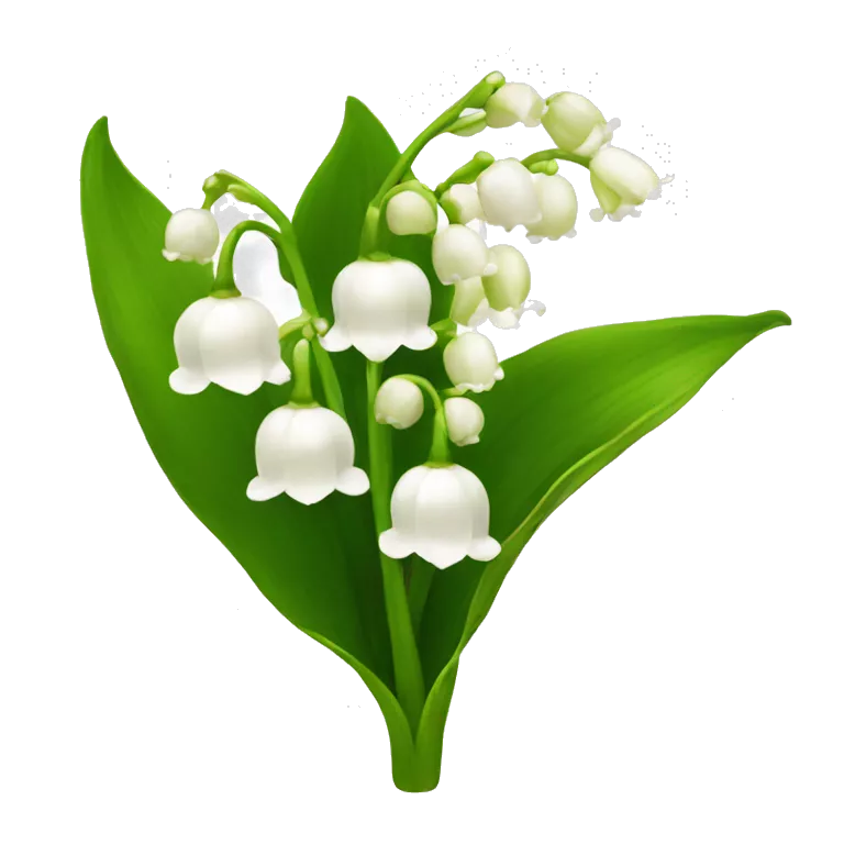 lily of the valley