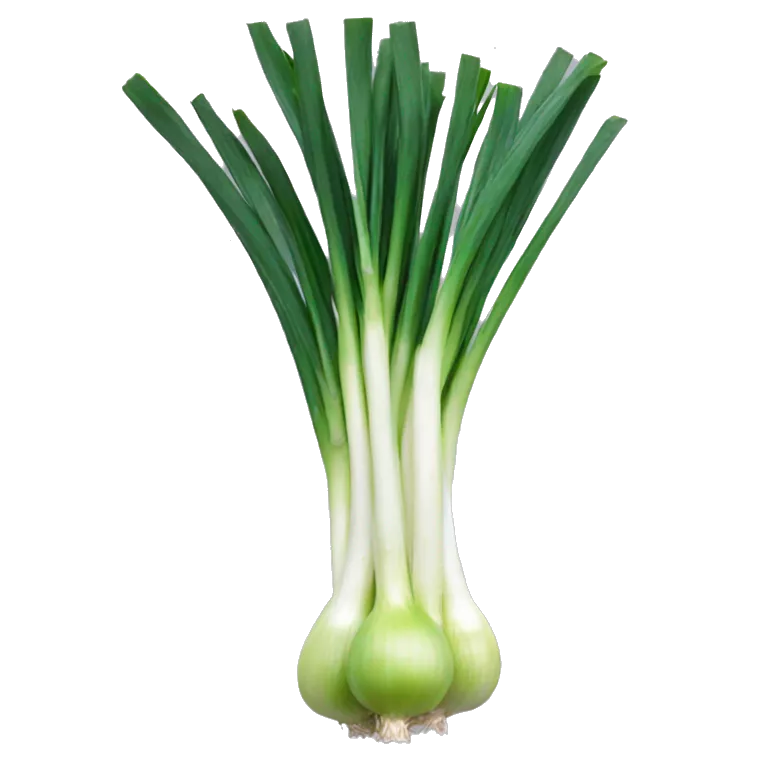 spring onion mix blue steel