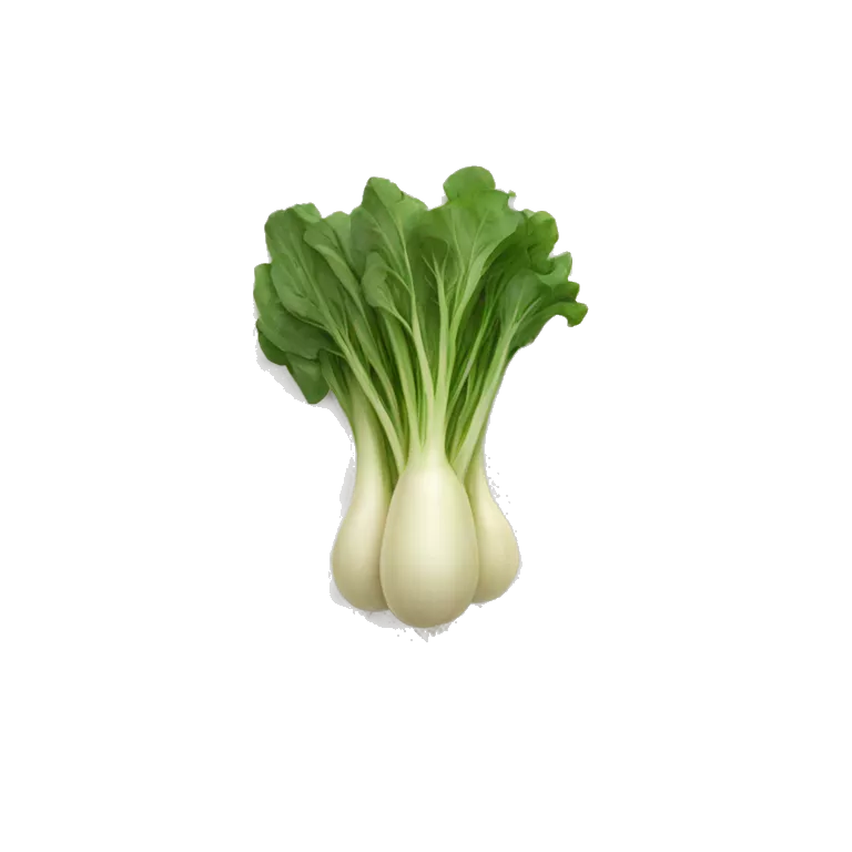 vegetables in a plate
