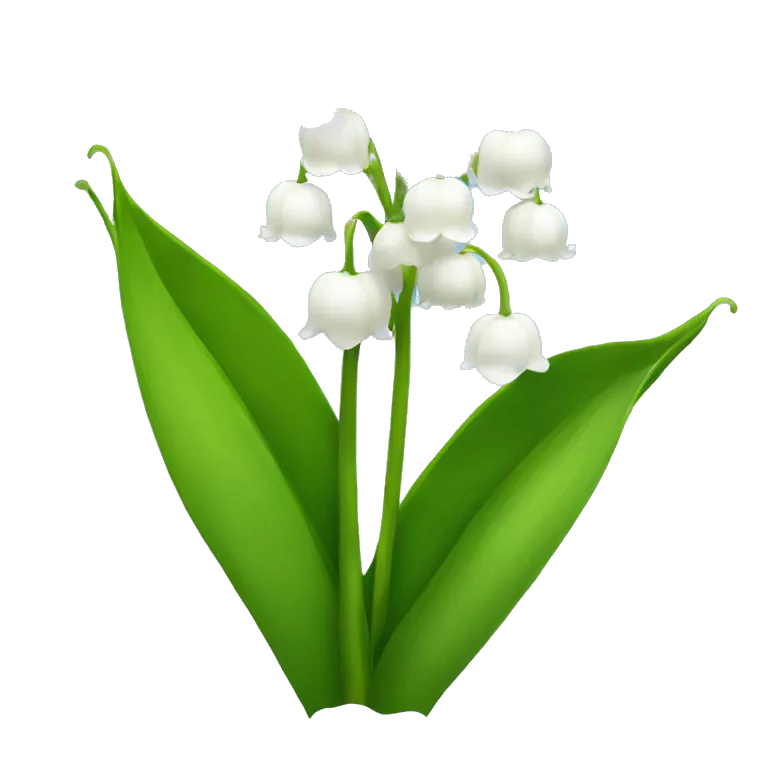 lily of the valley