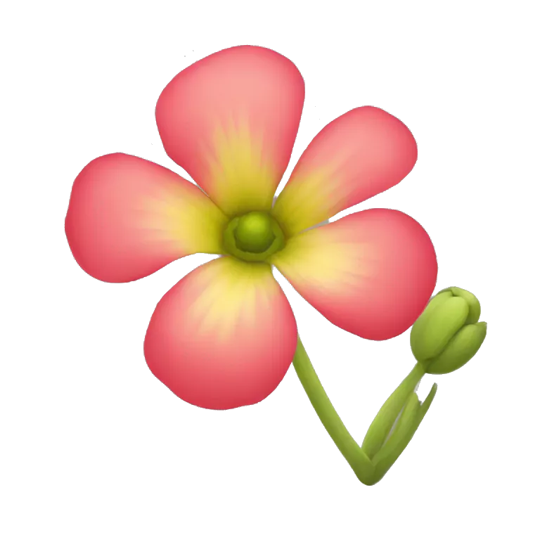 Yemen Flower
