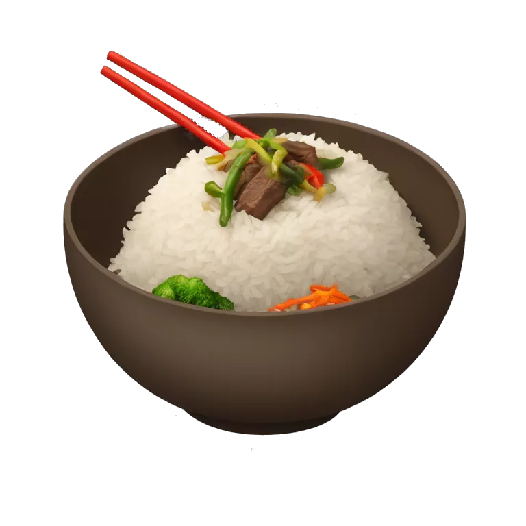 bowl with rice and stir fry beef and vegetables