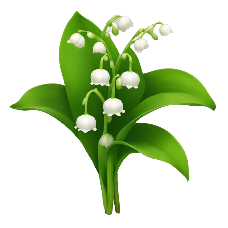 lily of the valley