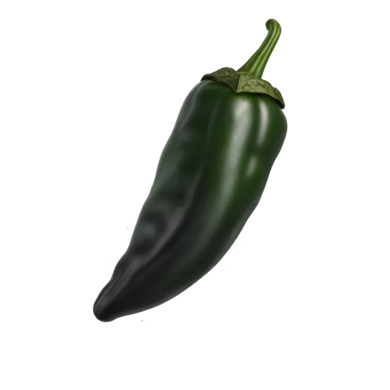Round Single Dried black poblano chili pepper