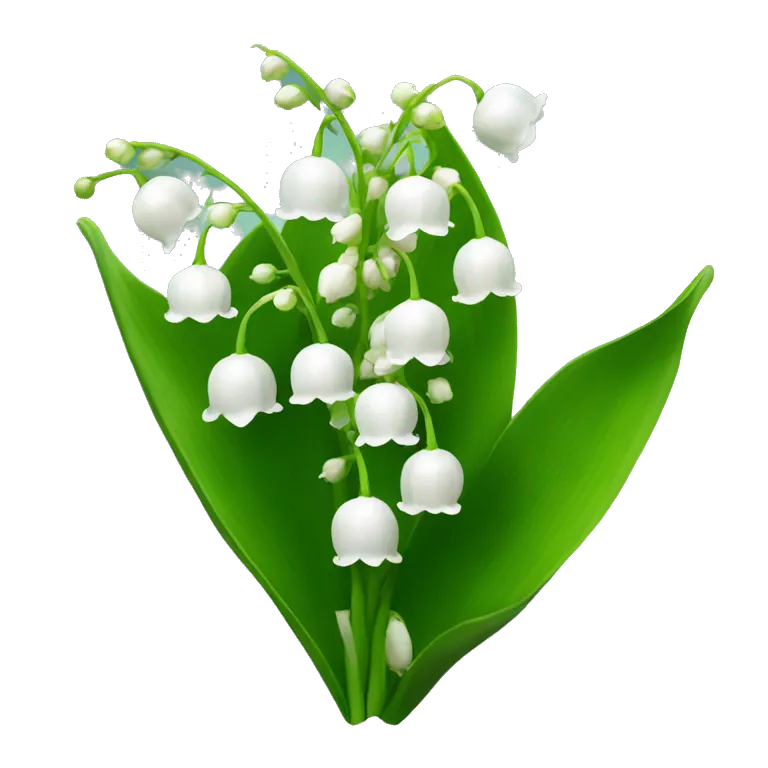 lily of the Valley
