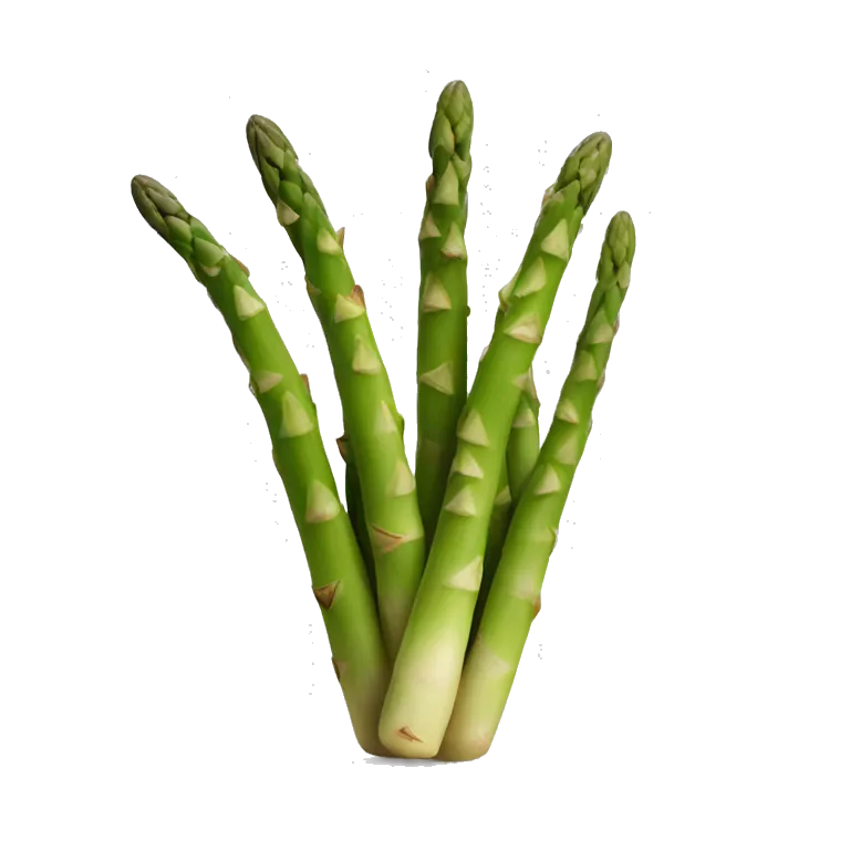 Asparagus