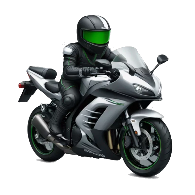Ninja driving Kawasaki ninja