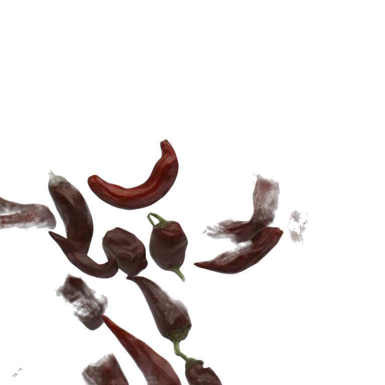 Round Single Dried black chili pepper