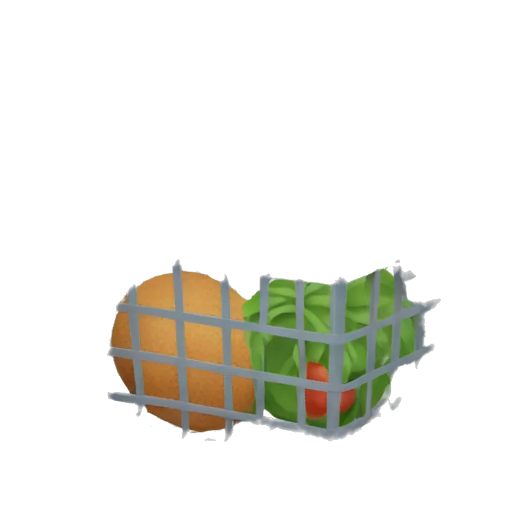 a supermarket basket