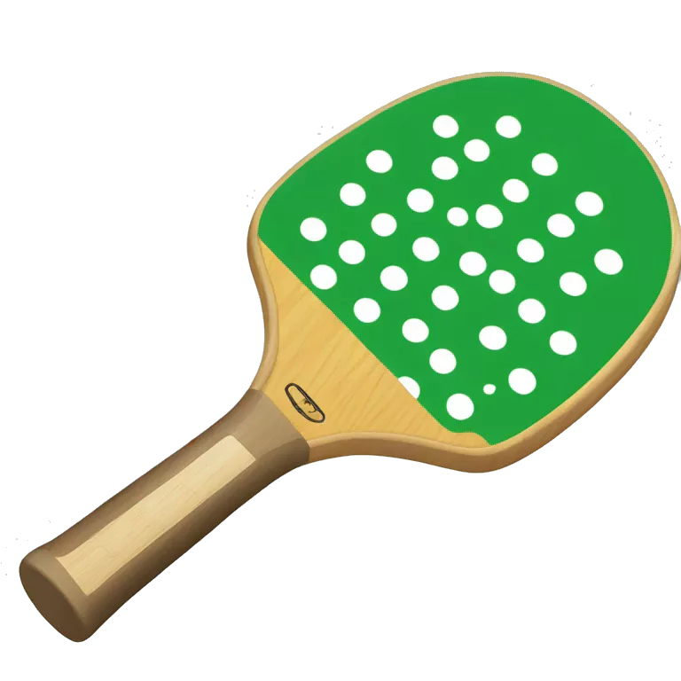 pickleball paddle and pickleball