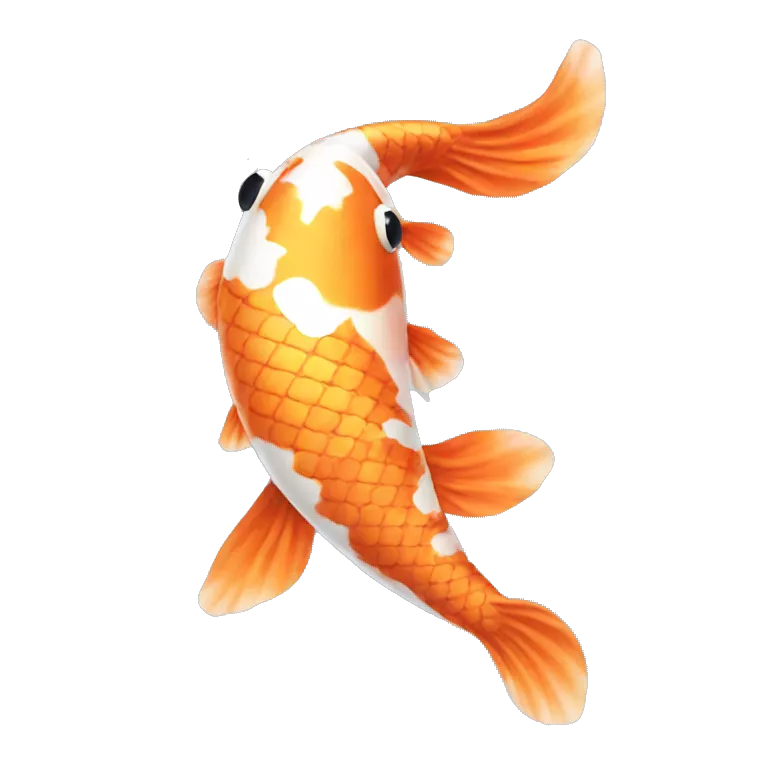 Koi fish