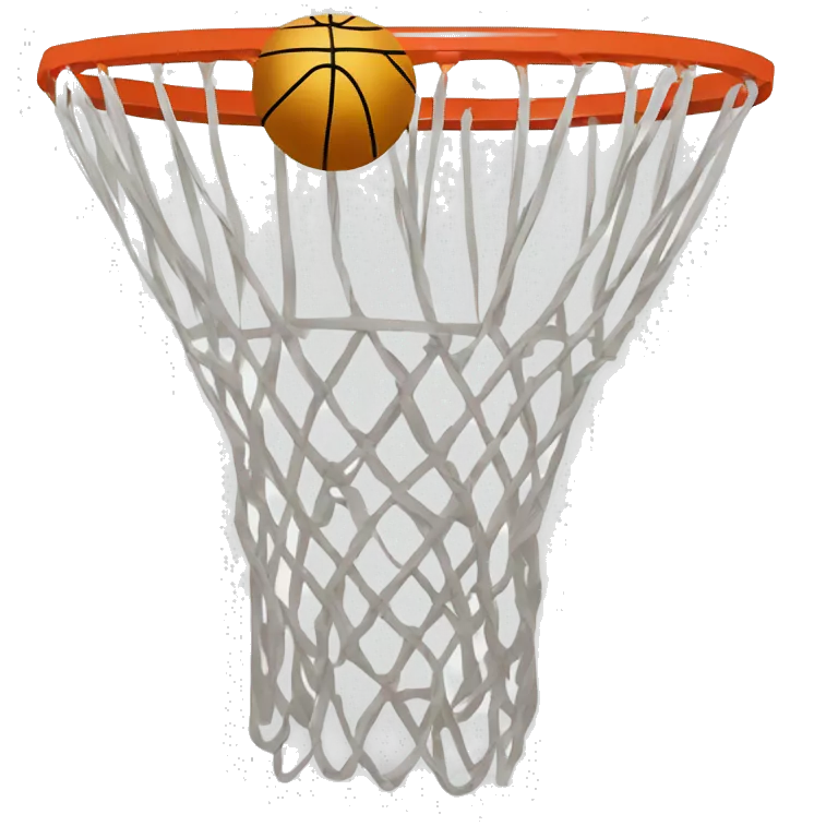 Ballon de basket qui fait du basket