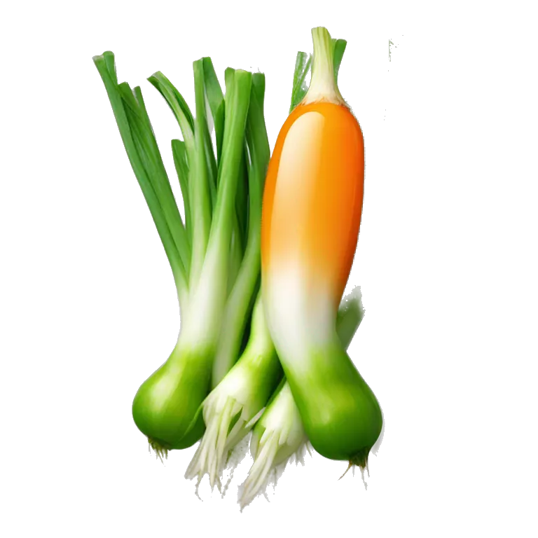 spring onion with orange sauce