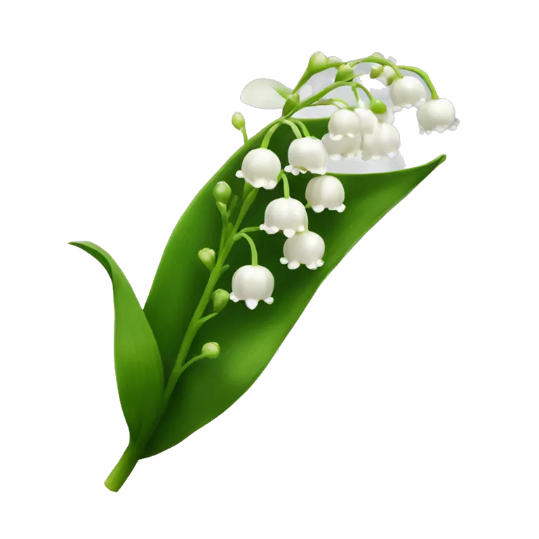 lily of the valley